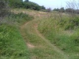 Jackson Street, Clarendon, Jamaica - Residential lot for Sale